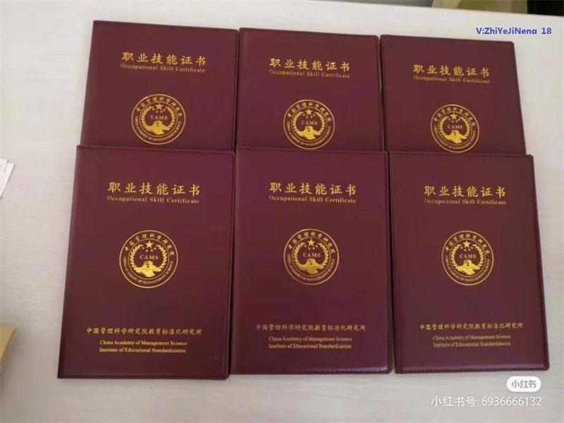 驾驶证正本制作
