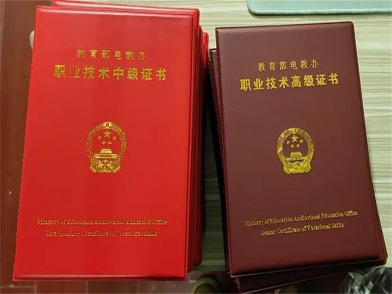 车辆保险单制作
